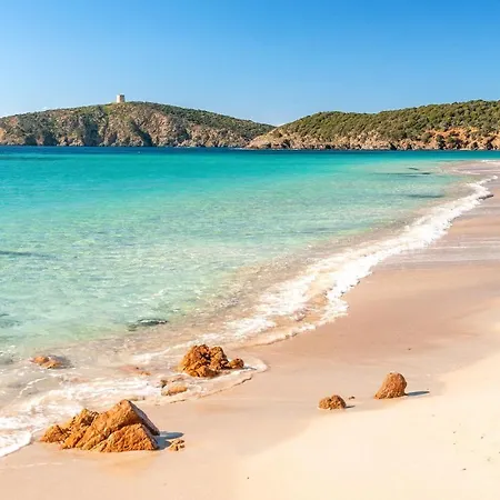 Bilo 4 Premium Fox E Sali-monte Agumu