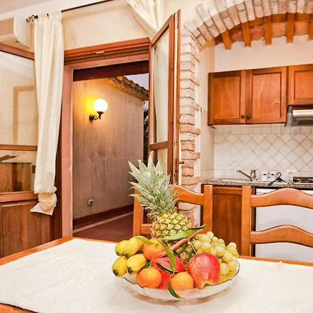 Bilo 4 Premium Fox E Sali-monte Agumu