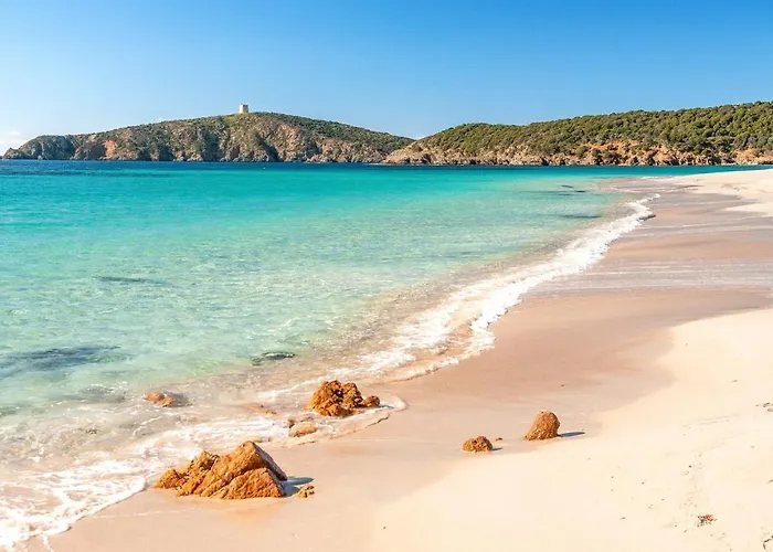 Bilo 4 Premium Fox E Sali-monte Agumu